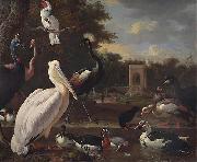 A Pelican and other exotic birds in a park, unknow artist